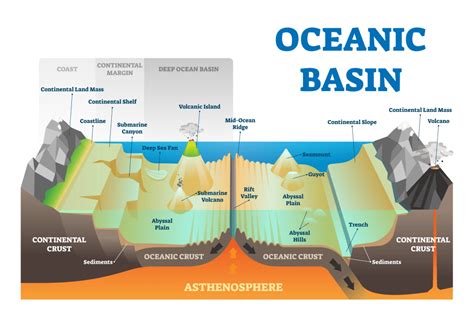 Oceanic Geological Features Flashcards by Ariel Hasse .